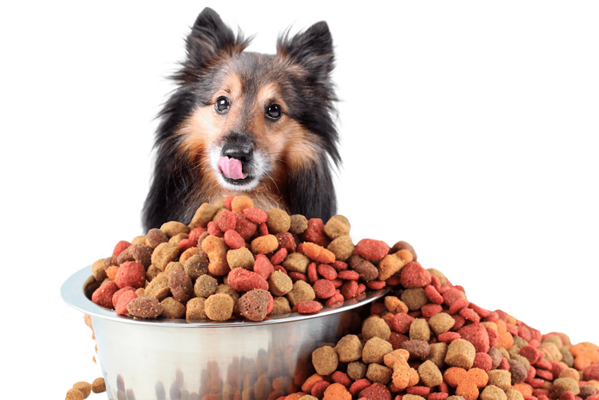 Alimentos